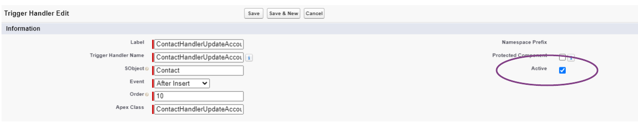 Active flag on record